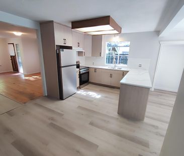 Newly Renovated Home in Johnston Heights - Photo 4
