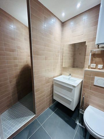 BLATIN superbe T2 meublé avec terrase - Photo 4