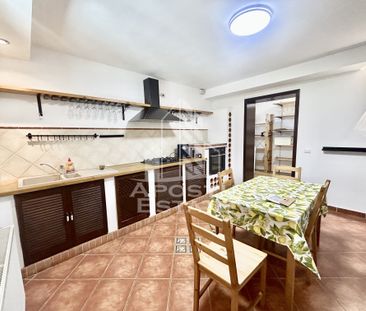 Casa cu 5 camere de inchiriat, curte proprie, Sanmihaiul Roman, Timis - Photo 2