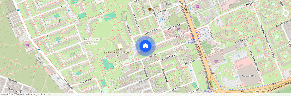 ul. Pasieczna, Radogoszcz, Bałuty, Łódź, łódzkie