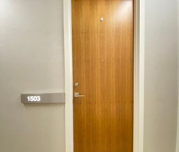 Imperial Plaza Lofts - Photo 4