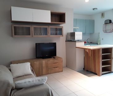 Location Appartement 2 pièces 41m² SEILH 31840 - Photo 2