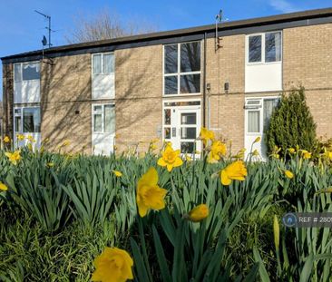 1 bedroom flat to rent - Photo 6