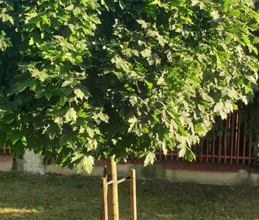 Kraków, Podgórze Duchackie, Kurdwanów Mieszkanie na wynajem - Фото 6