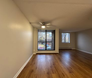 For Lease - 80 Rockwood Avenue Unit# B-310, St. Catharines, Ontario - Photo 2