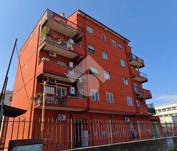 Bilocale in affitto - Photo 2