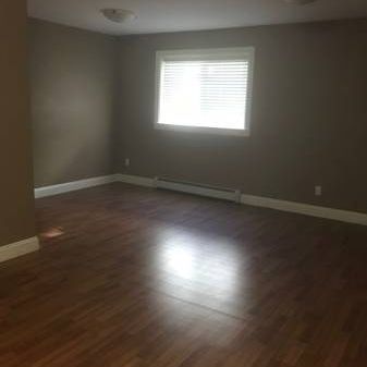 2 Bedroom Basement near UFV - Photo 2