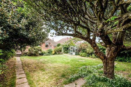 3 bedroom bungalow to rent Seafield Avenue, Goring-by-Sea, Worthing, BN12 - Photo 4