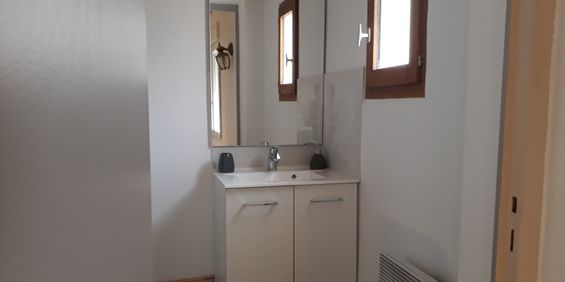 Location Appartement 1 pièce 24m² ROANNE 42300 - Photo 3