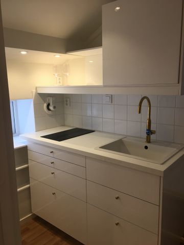 Borgen, Sigtuna - Photo 5