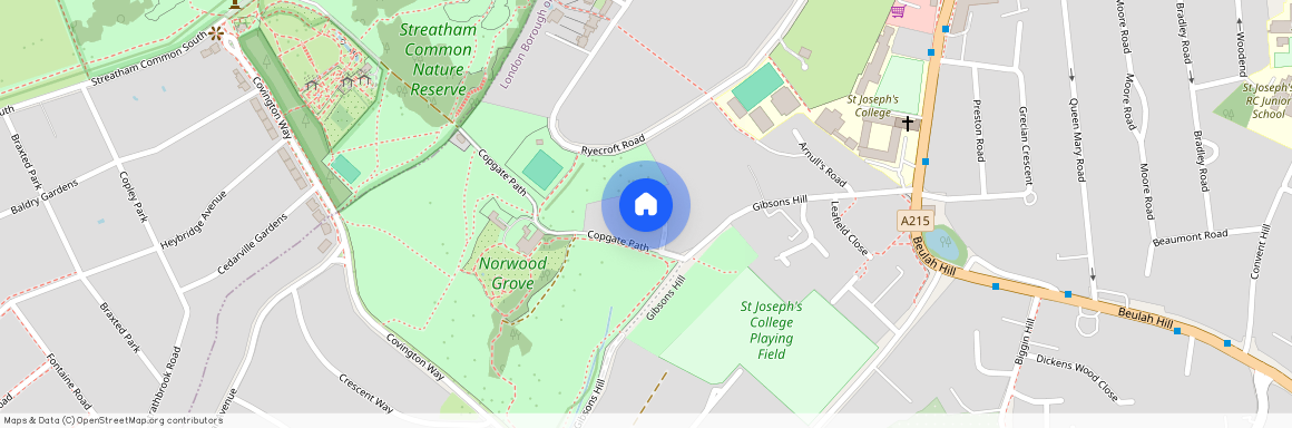 Hollies Close, SW16 3EF, London