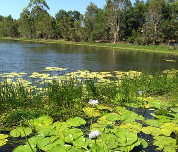 Address available on request, Mango Hill, Qld 4509 - Photo 6
