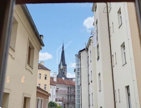 Apartment for rent, Flatshare, 25m - Photo 2