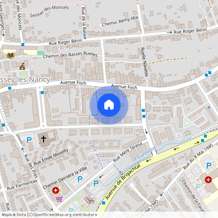 96 avenue Foch, ESSEY LES NANCY, 54270