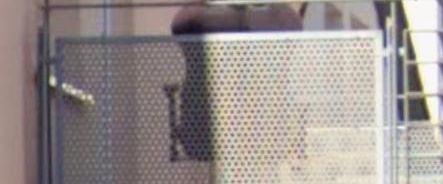 Wognung zu vermieten ab 1.11.25 - Photo 1