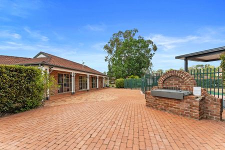 Modern Single-Level Family Home - Photo 4