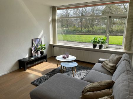 Te huur: Moolenwater 12, 3232 AG Brielle - Foto 4