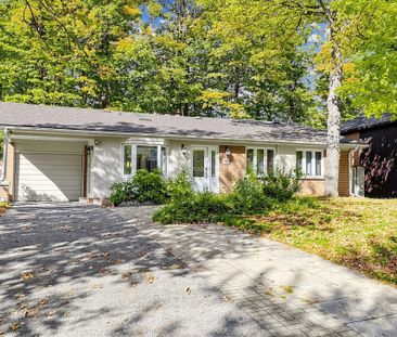 For Lease - 39 Sagebrush Lane, Toronto, Ontario - Photo 4