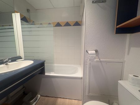 Location Appartement 1 pièce 30m² FONTAINE 38600 - Photo 4