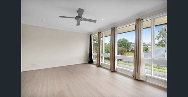 Your Slice of Paradise - Photo 1