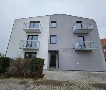 Pronájem bytu 1+kk 28 m and sup2;, Jenštejn - Photo 5