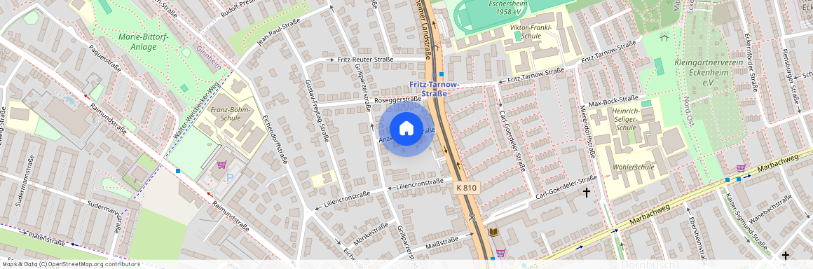 Anzengruberstraße, 60320 Frankfurt