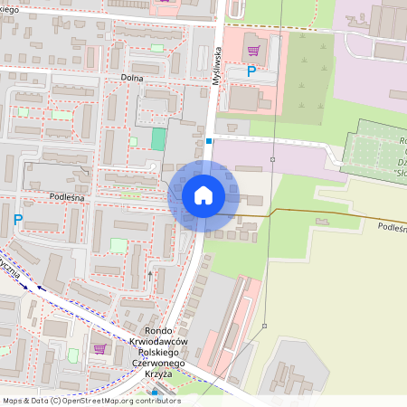 ul. Podleśna, Pabianice, pabianicki, łódzkie