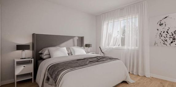 Le Laurin | 4 ½ - 5 ½ récents à louer, Saint-Jacques - Photo 2