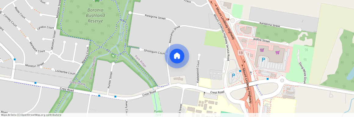 60 Mexicanus Drive, QLD 4125, Park Ridge