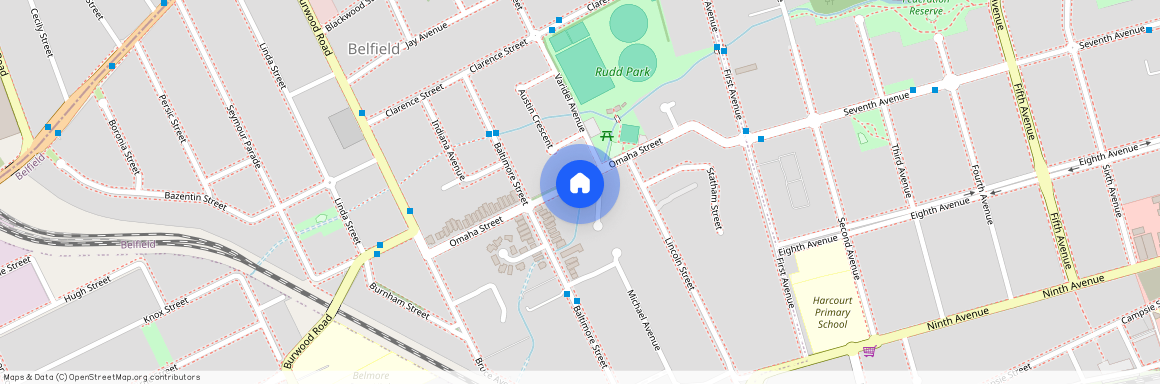 22 Omaha Street, NSW 2191, Belfield