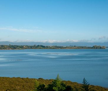 Bellevue, Tauranga 3Bed with views $635 pw - Photo 4