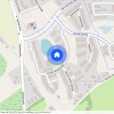 Kirsten Munks Dal 10K, 8700, Horsens