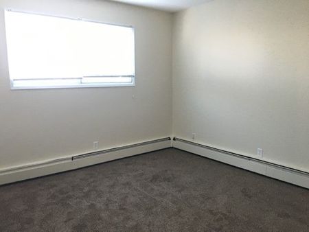 5 4413 51 Avenue - Photo 3