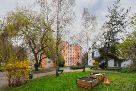 Pronájem bytu 2+kk 41 m² - Фото 4
