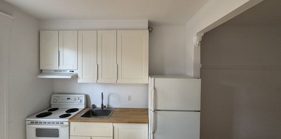 3 1/2 Rosemont/La Petite-Patrie - Photo 2