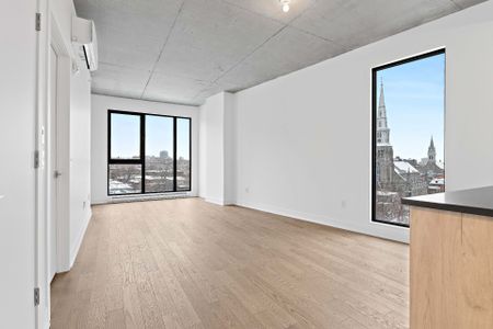 Appartement à louer, Montréal (Ville-Marie) - Photo 4