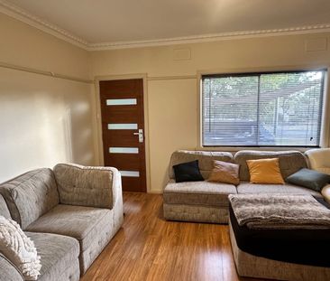 Boronia - Photo 1