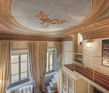 Secret Ceiling - Photo 4
