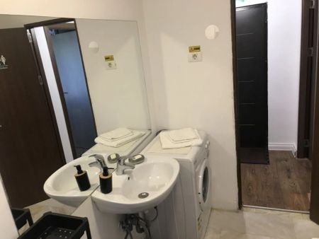 Splaiul Unirii, Mihai Bravu, parter in vila - Photo 4