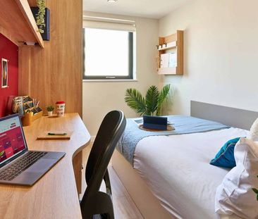 Gold Ensuite - Photo 6