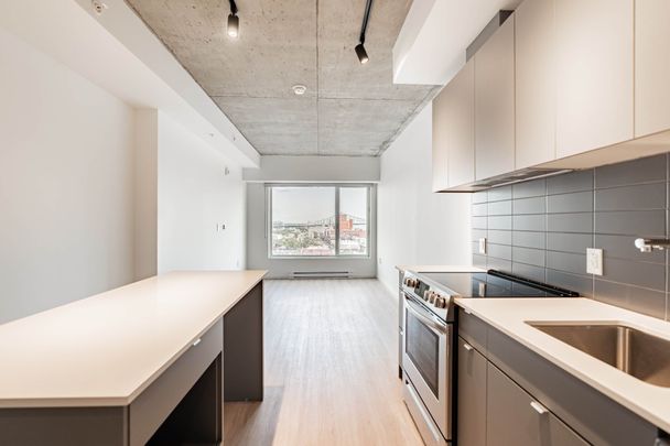 Rue St-Hubert, H2Y 0B9, Montréal - Photo 1