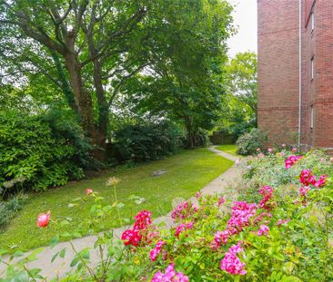 1 bedroom flat to rent - Photo 6