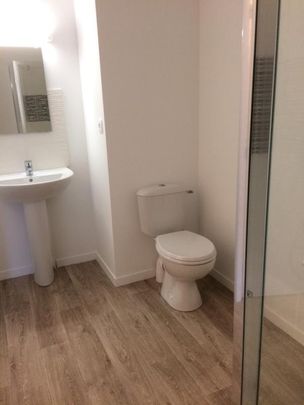 Location Appartement 2 pièces 47m² NANTES 44300 - Photo 1