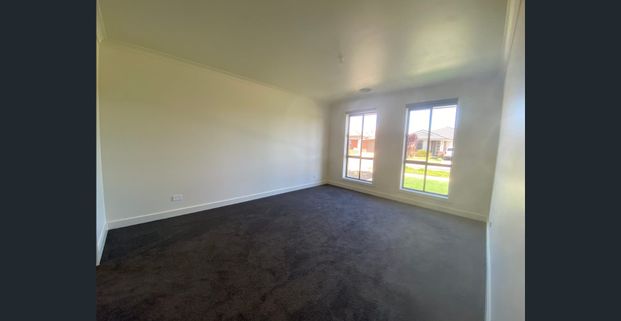 Spacious 4 bedroom Home in Quiet Street - Photo 1