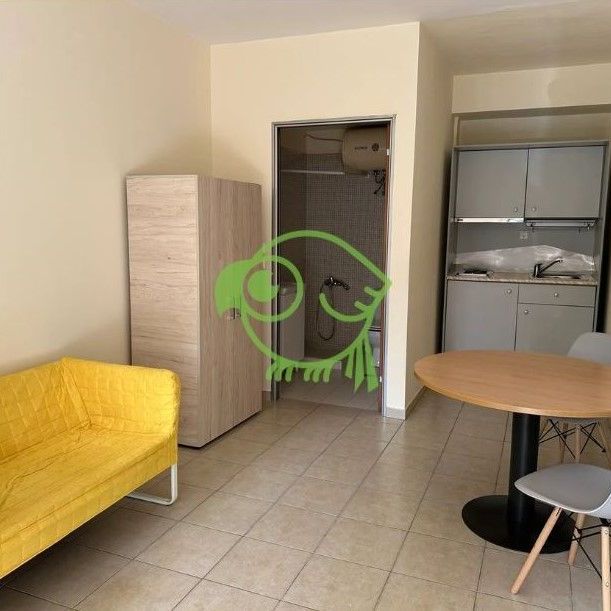 Studio/Γκαρσονιέρα για ενοικίαση Λιούμη (Αιγάλεω) - Φωτογραφία 1