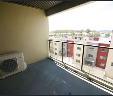 24/21 Battye Street, Bruce, ACT 2617 - Photo 1