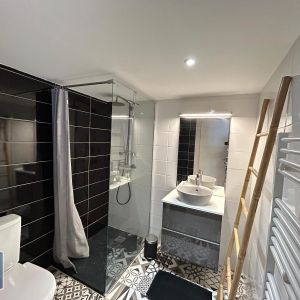 Location Appartement 1 pièce 24m² ST ETIENNE 42000 - Photo 2