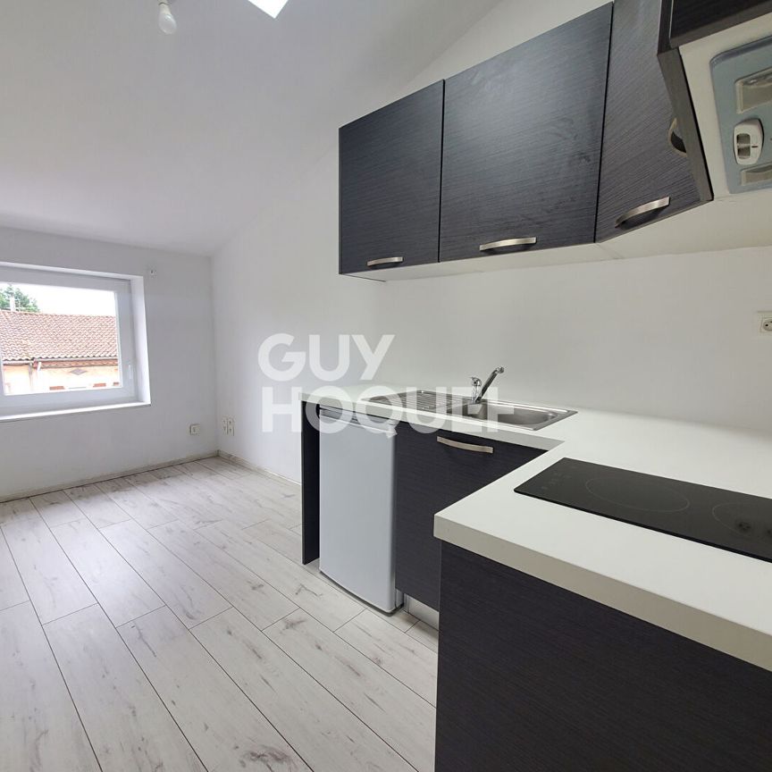 Appartement Albi 2 pièce(s) - Photo 2