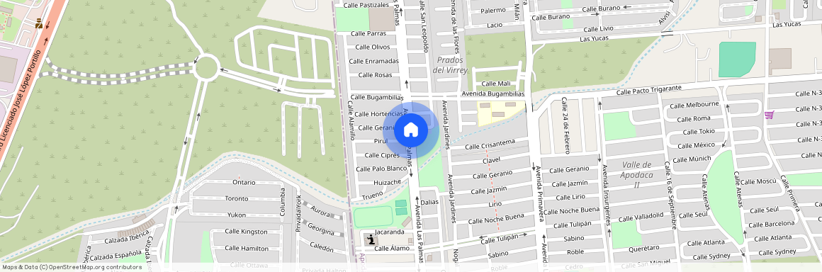Avenida Las Palmas, Valle de las Palmas V, 66612 Apodaca, NLE, Mexico