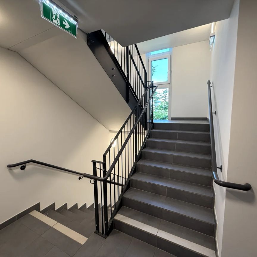 Wunderbare 2-Zimmer Wohnung mit gutem Grundriss in perfekter Lage nahe U-Bahn! ab 01.12.2025 - Foto 1